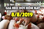 Giá heo hơi hôm nay 8/8: Giá heo miền Nam tăng, thoát ngưỡng dưới 30.000 đồng/kg