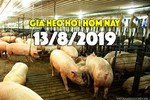 Giá heo hơi hôm nay 13/8: Miền Bắc đạt đỉnh 53.000 đồng, miền Nam có nơi tăng 7.000 đồng/kg