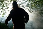 Vì sao khó bắt được quái vật bí ẩn nhất thế giới Bigfoot?