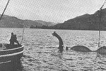 Quái vật bí ẩn thời tiền sử ẩn náu ở hồ Loch Ness?