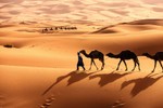 Nếu phủ pin mặt trời kín sa mạc Sahara sẽ tạo ra lượng điện khổng lồ?