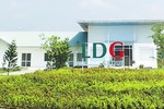 LDG điều chỉnh giảm 100 tỷ đồng kế hoạch lợi nhuận năm 2020