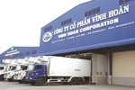 VHC: Doanh thu xuất khẩu tháng 11 sụt giảm mạnh, cổ phiếu 'đổ đèo' nhiều phiên