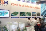 Chị gái Phó Chủ tịch CEO muốn bán hết 2,7 triệu cổ phiếu khi thị giá bật trở lại