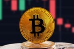 Giá Bitcoin hôm nay 25/7: BTC dưới mức 10.000 USD