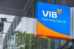 Quý 1, VIB báo tín dụng và huy động tăng trưởng âm, nợ xấu vọt lên 3,6%