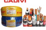 Cadivi lên kế hoạch lãi giảm 7% về mức 450 tỷ nhưng cổ tức vẫn duy trì 100%