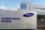 Bệnh nhân 262 nhiễm COVID-19 làm ở Samsung tiếp xúc 40 người/ngày trên xe đưa đón