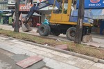 Công ty CP Xây dựng Vạn Thành Đạt trúng thầu 23/23 gói tham dự 