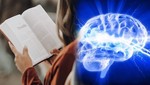 Các nhà khoa học Hàn Quốc phát hiện "chìa khoá" điều trị bệnh Alzheimer