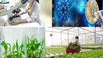 Công nghệ sinh học góp phần tăng năng suất cây trồng
