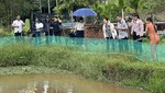 Liên hiệp các Hội KH&KT Đà Nẵng chủ trì dự án nuôi cá diếc thương phẩm