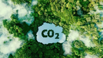 Lo ngại các mô hình thu giữ carbon chưa được đánh giá đúng hiệu quả