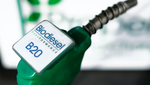 Dư thừa dầu diesel tái tạo đe dọa ngành công nghiệp Hoa Kỳ