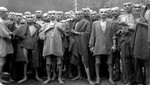 Thí nghiệm quái đản trên tù nhân của Đức quốc xã