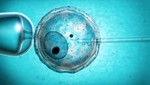 Công nghệ sinh sản mới hứa hẹn xoá sổ bệnh vô sinh
