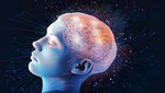 Nghiên cứu về thời gian giấc ngủ thiết lập lại các kết nối não