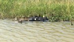Đắk Nông: Phát hiện thi thể người phụ nữ trôi dạt trên sông