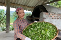 Cô gái Hà Giang từ bỏ công việc thu nhập cao về quê làm Tiktoker, quảng bá sản vật quê hương