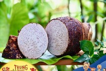 Đặc sản xưa mọc bờ bụi không ai ngó ngàng, mùa Trung thu nhiều người mách nhau ăn để may mắn, bệnh ung thư lại rất sợ