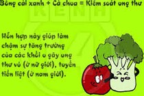 Thực phẩm top đầu ngừa ung thư cổ tử cung