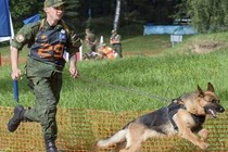 Kỳ lạ thí sinh bốn chân trong Army Game 2017