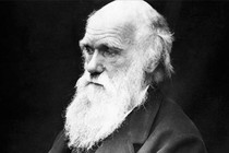 Hé lộ căn bệnh quái lạ đầy bí ẩn của nhà bác học Charles Darwin