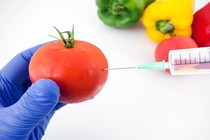 Khoa học nói thực phẩm GMO an toàn, người tiêu dùng hoài nghi