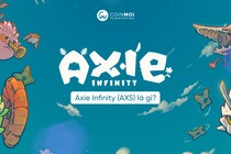 Sự thực phía sau game Axie Infinity do Trung Nguyễn sáng lập 