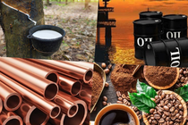 Thị trường ngày 20/4: Nhiều hàng hóa đồng loạt đảo chiều giảm