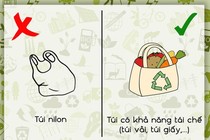 Những cách để bảo vệ môi trường khi đi du lịch
