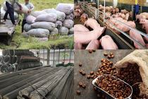 Giá cả thị trường hàng hóa ngày 4/5: Thép, cà phê, tiêu,... có biến động
