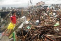 Người Việt từ vùng thảm họa Tacloban gọi điện cầu cứu