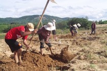 Săn đặc sản “ông ăn bà vui” mập nung núc, vàng óng