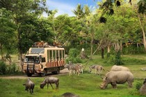 Đại gia Hong Kong bỏ chạy khỏi dự án Safari 500 triệu USD