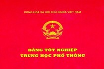 Trưởng ban tổ chức thành ủy bị hủy bằng cấp 3 xin từ chức