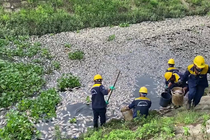 Đà Nẵng: Cá chết hàng loạt nổi trắng hồ Liên Chiểu