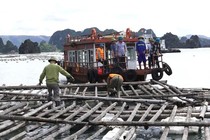 Quảng Ninh: Tạm đình chỉ công tác bốn cán bộ buông lỏng quản lý 