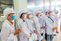 Trường TH School TP.Vinh tổ chức trải nghiệm tại nông trại xanh