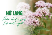 Nữ lang: Thảo dược quý trị mất ngủ