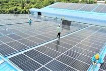 Doanh thu lớn nhưng lợi nhuận mỏng, Solar Cons giảm mạnh tài sản