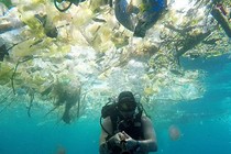 Video: Kinh hoàng cảnh biển Bali bị con người làm cho “nghẹt thở“