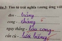 Những bài kiểm tra, tập làm văn 'bá đạo' của học sinh