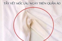 6 cách tẩy vết mốc lâu ngày trên quần áo siêu hiệu quả