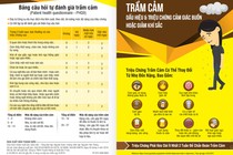 5 bước hiệu quả hạn chế bệnh trầm cảm