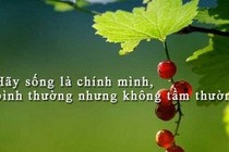 Hãy cứ là chính mình dũng cảm đối mặt với sóng to gió lớn