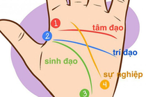 3 tướng tay của người giỏi kinh doanh, làm đâu thắng đó