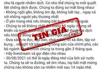 Xuất hiện thông tin giả mạo phát ngôn chỉ đạo của Phó thủ tướng