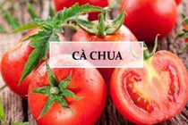 Cà chua - thực phẩm "vàng" trong "làng" trị mụn được chị em ưa chuộng 