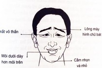 Người sở hữu 2 thứ mỏng, 2 vị trí nhỏ đen cả tình lẫn tiền